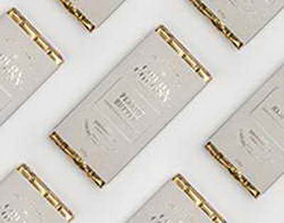 Дархан Сатыбалды алматылықтарды Наурыз мейрамымен құттықтады