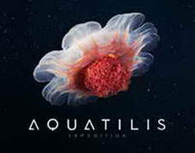 “Yaxın Şəqdəki müharibələr müxtəlif dövlətləri hərbi xərcləri artırmağa vadar edib”