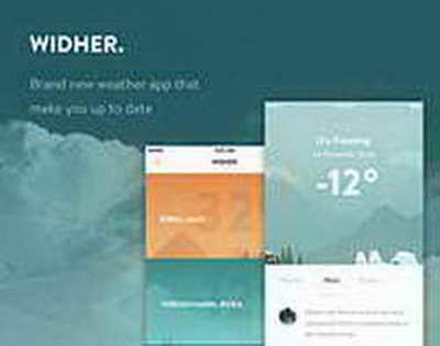 В Казахстане запустили петицию против эвтаназии бездомных животных