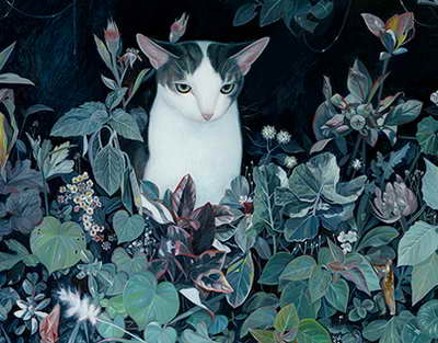 Семейде дзюдодан «ABAІ OPEN» республикалық турнирі басталды