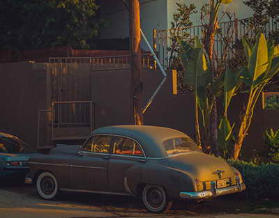 О риске ввоза заражённых семян и растений заявил сенатор Казахстана